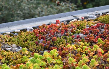 the cost of Appin green roof installation