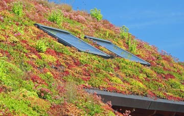 Appin living roof systems